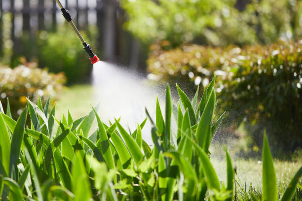 24/7 Emergency Termite Control experts in Palmer, AK