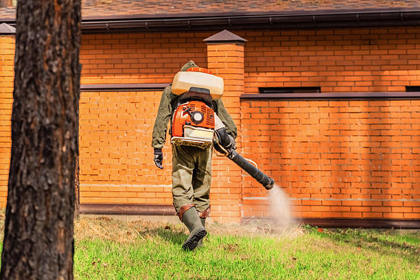 Top rated local Termite Control specialists in Palmer, AK